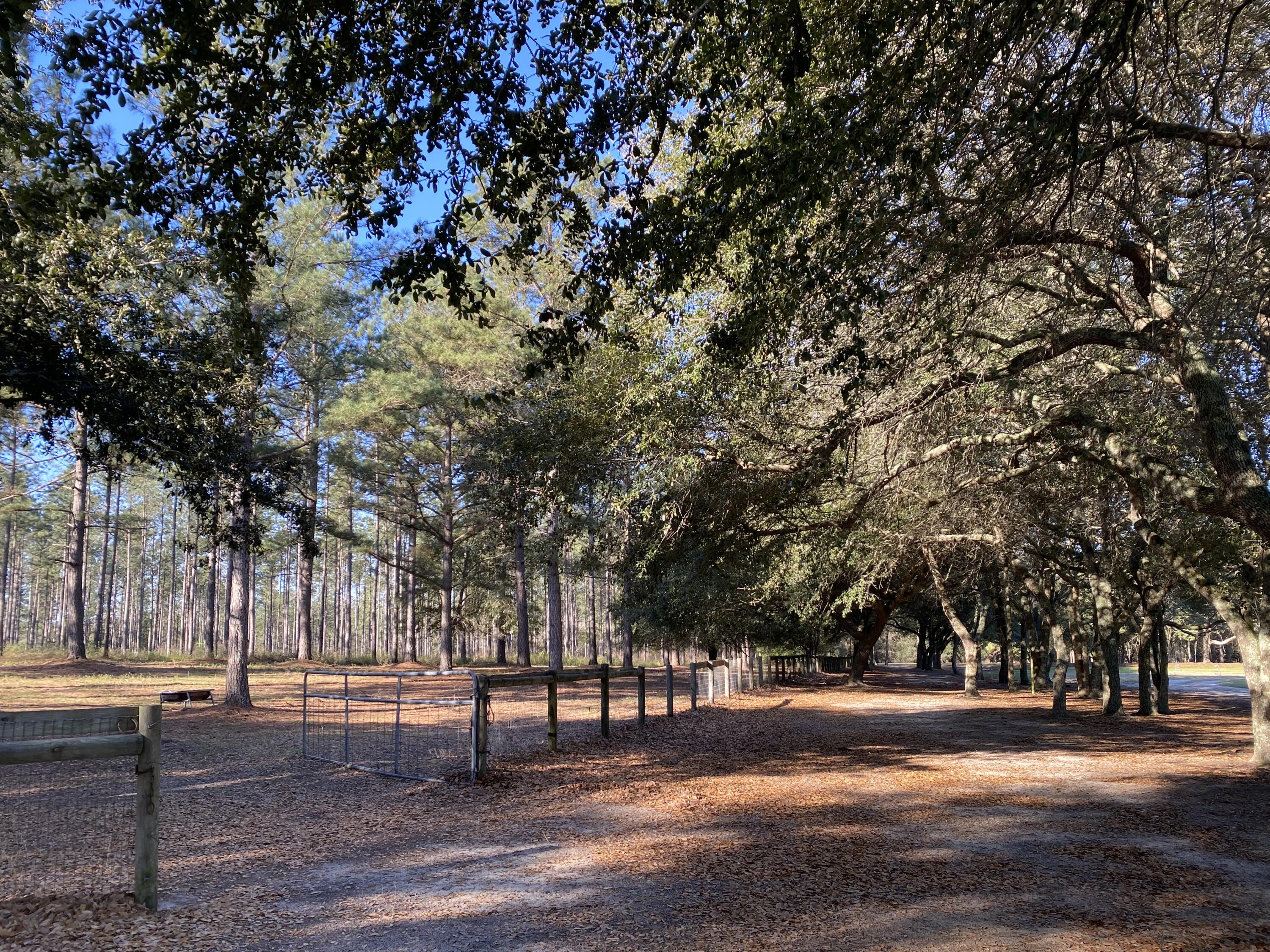 1535 Shaws Fork Road Aiken, SC 29805 - Photo 53 of 64