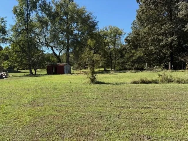 a view of field with tall trees in the background
