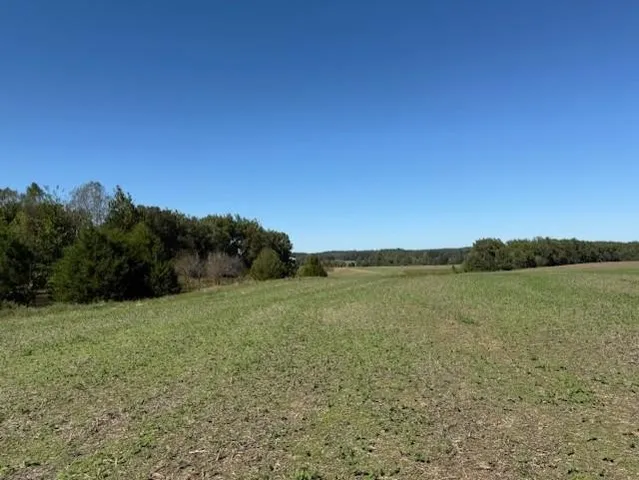 a view of an outdoor space and a yard
