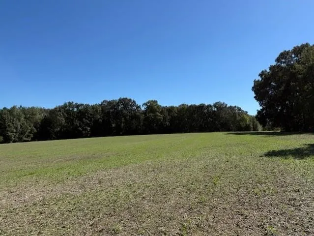 a view of outdoor space with green field and trees all around