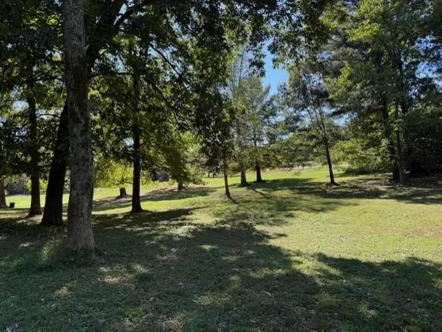 a view of outdoor space with trees