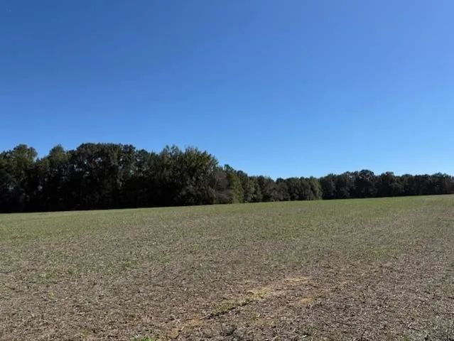 a view of a golf course