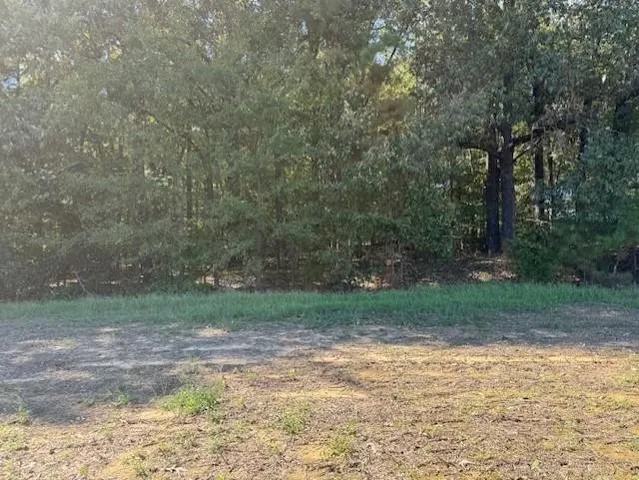 a view of backyard with green space