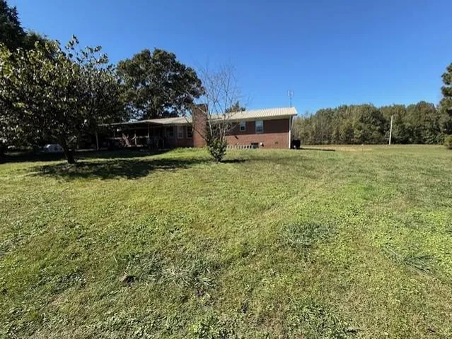 a view of a forest with a yard