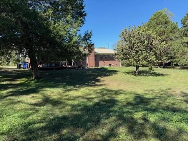 a close up of a plant with a plant