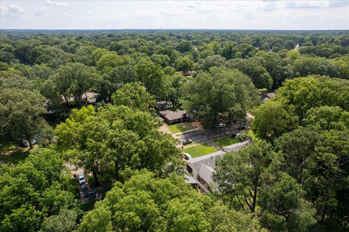 4491 Garnett Road Memphis, TN 38117 - Photo 32 of 32 Expansive residential area characterized by a dense canopy of mature deciduous trees and residential structures