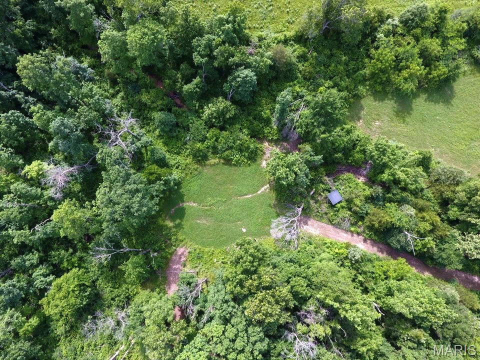 Tbd Van Horn Road Bland, MO 65014 - Photo 13 of 47