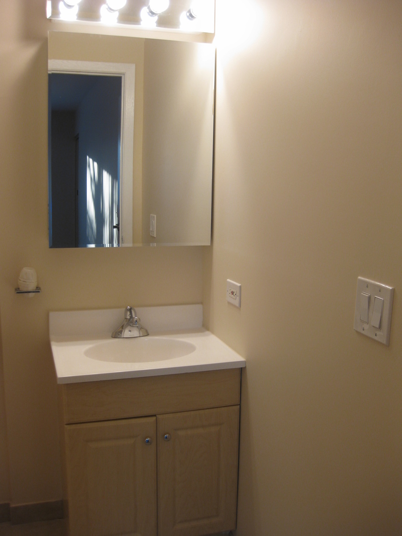429 Pacific Court Wheeling, IL 60090 - Photo 11 of 16 a bathroom with a sink and a mirror