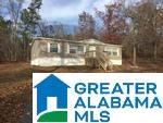 801 Old Mink Farm Road Altoona, AL 35952 - Photo 23 of 24