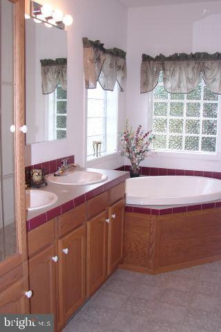 31629 Melson Road Delmar, MD 21875 - Photo 10 of 12 a bathroom with a sink and a bathtub