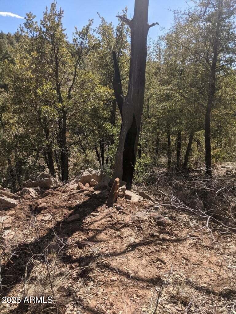 41-42 Antelope Trail Road, Unit 41 & 42 Payson, AZ 85541 - Photo 13 of 19 a view of a forest filled with trees