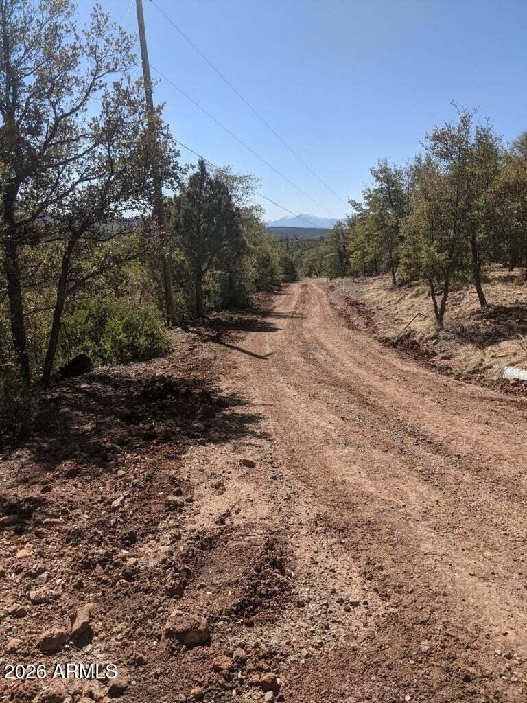 41-42 Antelope Trail Road, Unit 41 & 42 Payson, AZ 85541 - Photo 17 of 19 a view of a dirt road with trees in the background