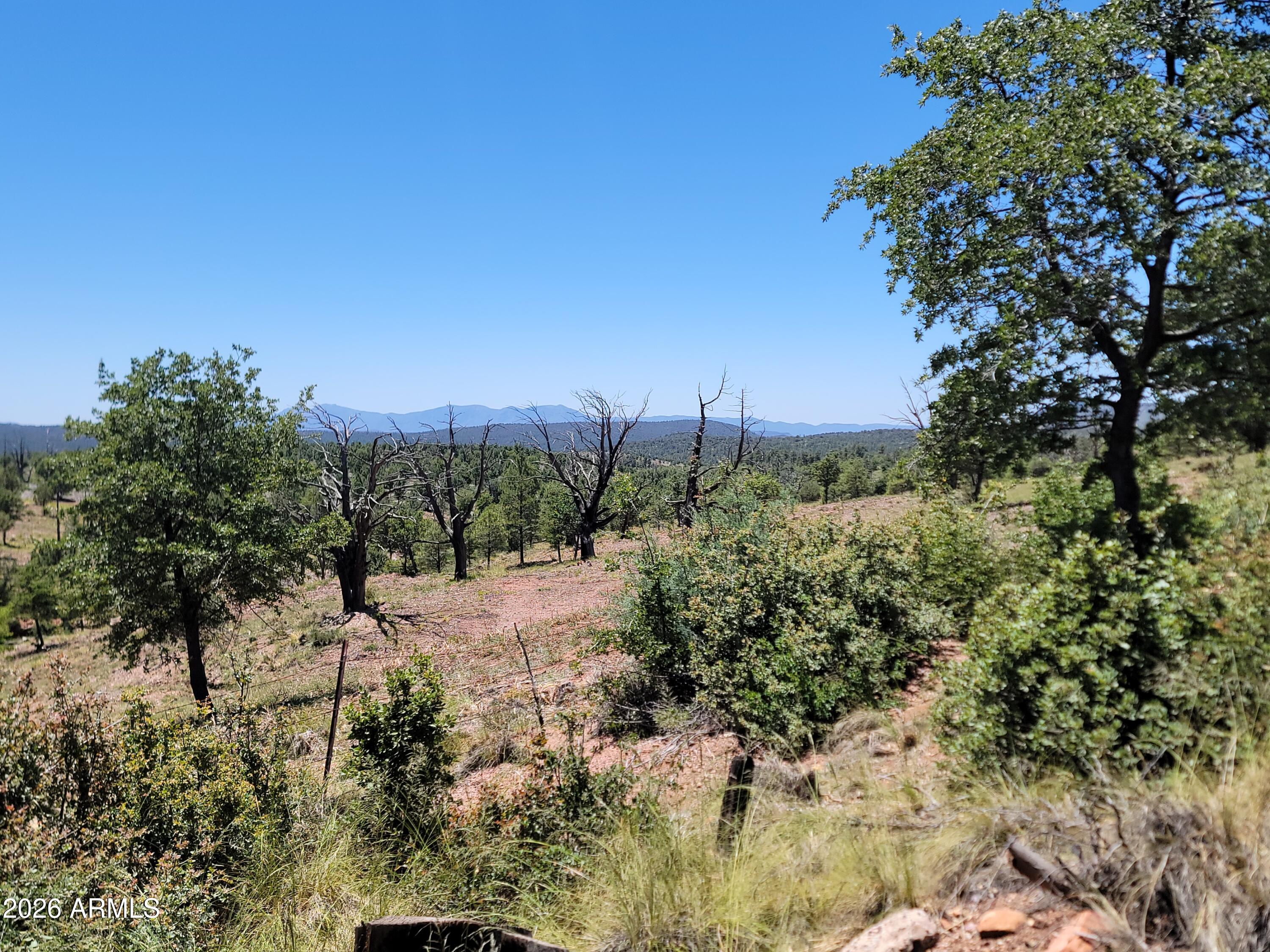 41-42 Antelope Trail Road, Unit 41 & 42 Payson, AZ 85541 - Photo 3 of 19 a view of a dry yard with trees