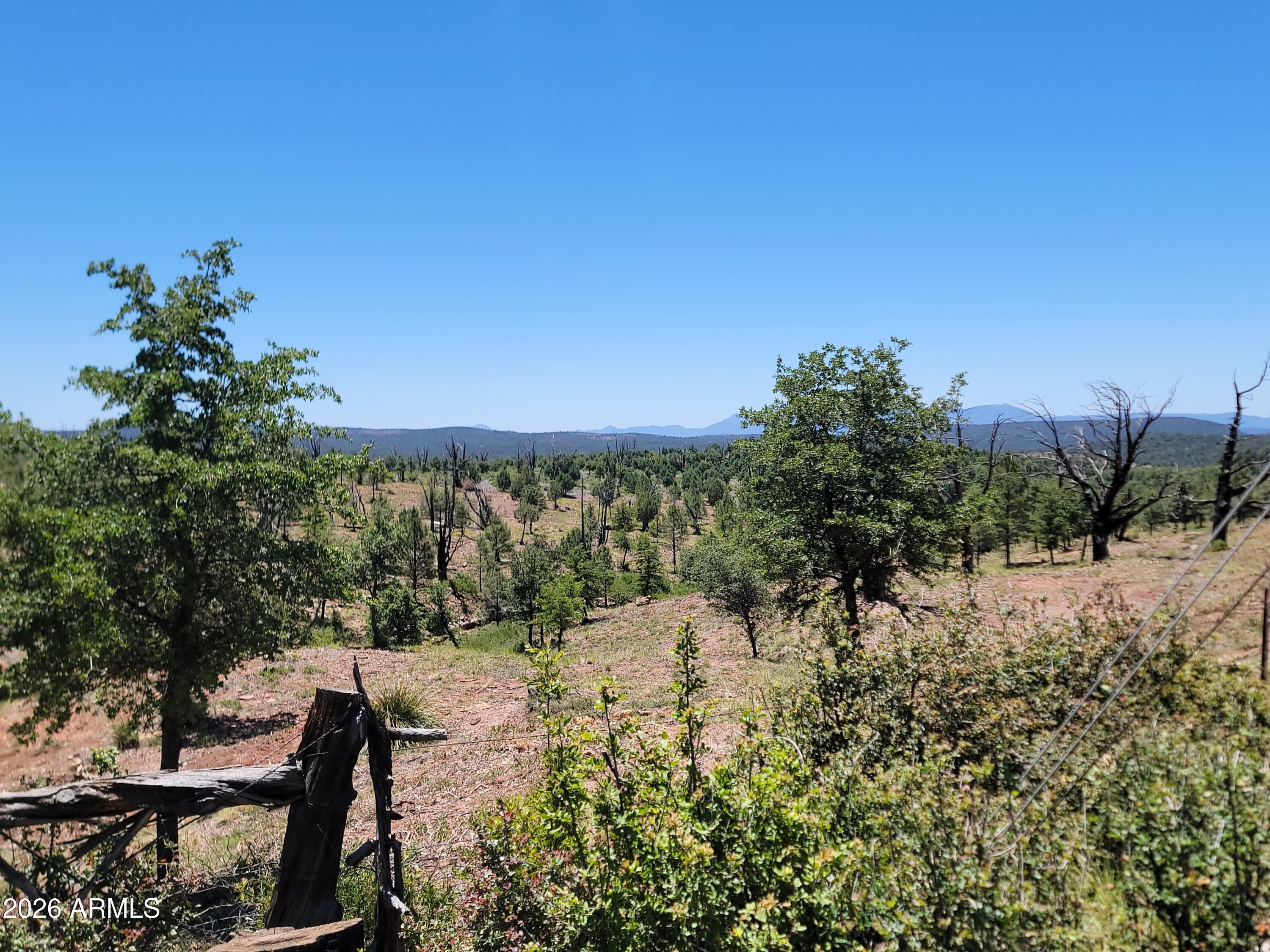 41-42 Antelope Trail Road, Unit 41 & 42 Payson, AZ 85541 - Photo 5 of 19 a view of a yard with wooden fence