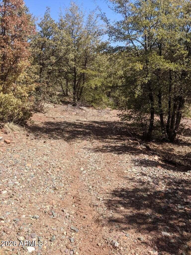 41-42 Antelope Trail Road, Unit 41 & 42 Payson, AZ 85541 - Photo 9 of 19 a view of a yard with a tree