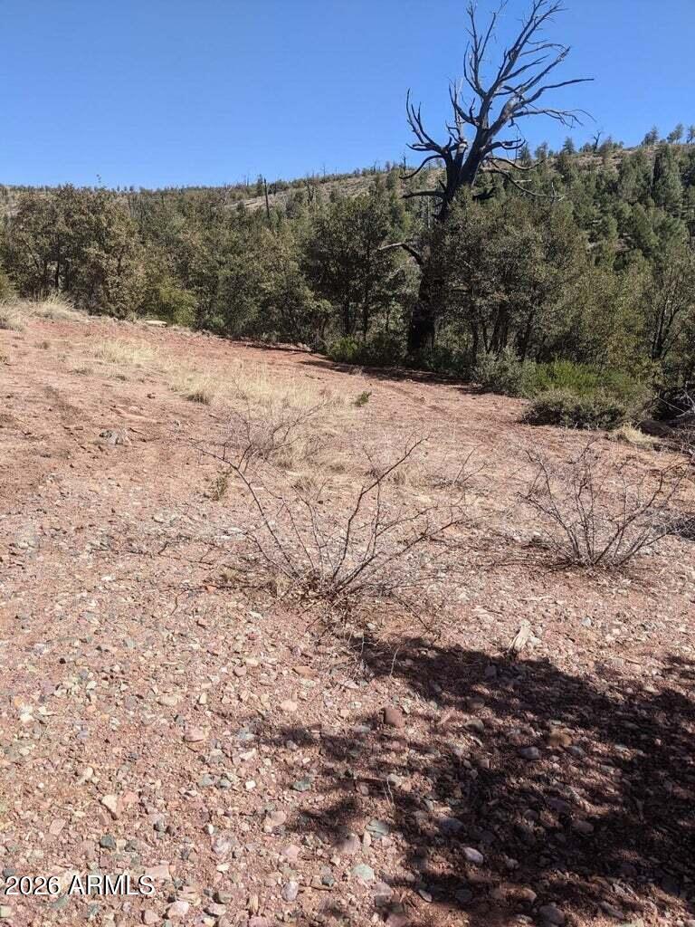 41-42 Antelope Trail Road, Unit 41 & 42 Payson, AZ 85541 - Photo 10 of 19 a view of a yard covered in snow