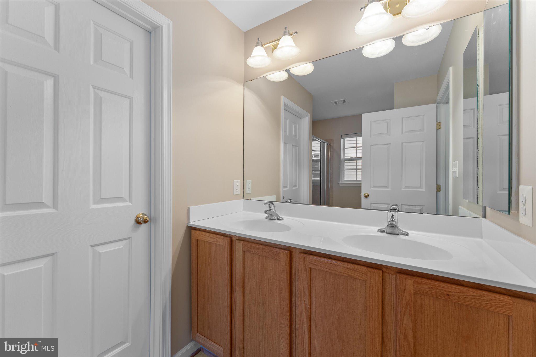 6696 Stream View Lane Warrenton, VA 20187 - Photo 28 of 57 a bathroom with a sink and a mirror