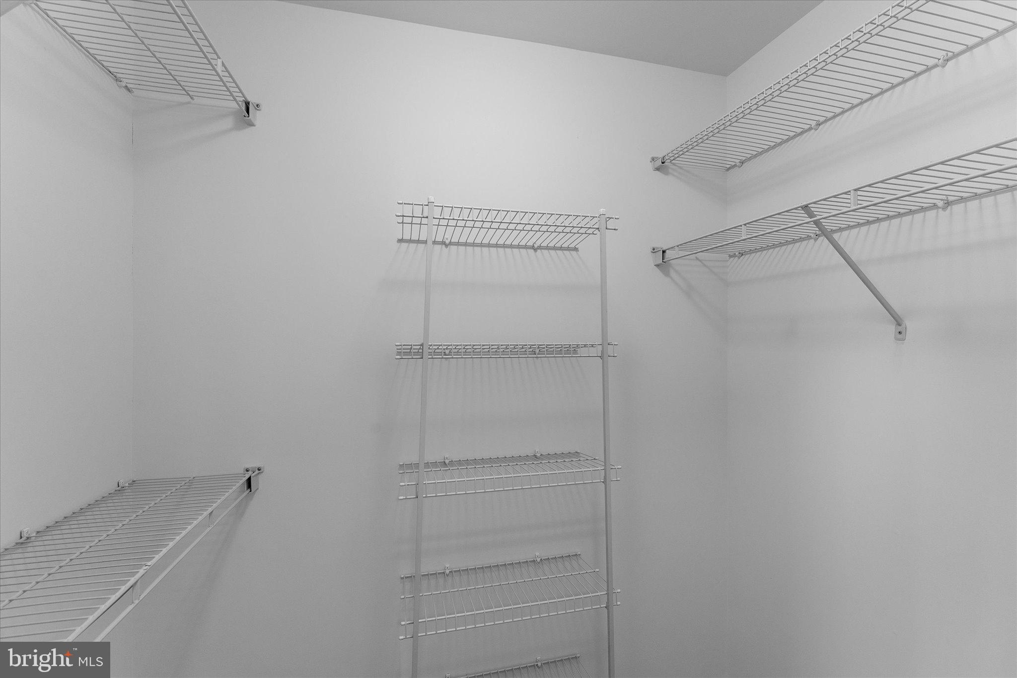 6696 Stream View Lane Warrenton, VA 20187 - Photo 31 of 57 a view of walk in closet with empty racks