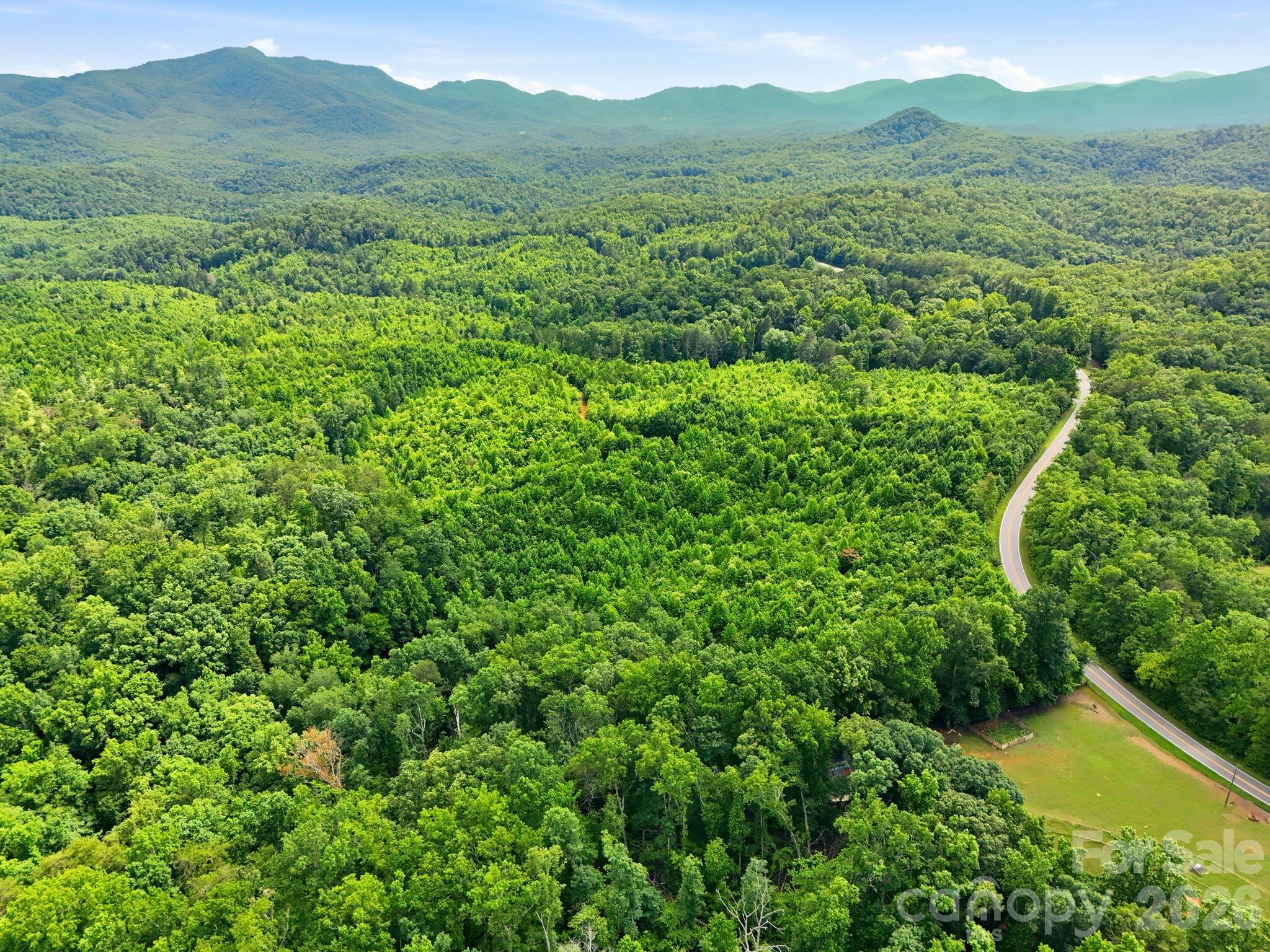 2301 Parker Padgett Road Old Fort, NC 28762 - Photo 6 of 17