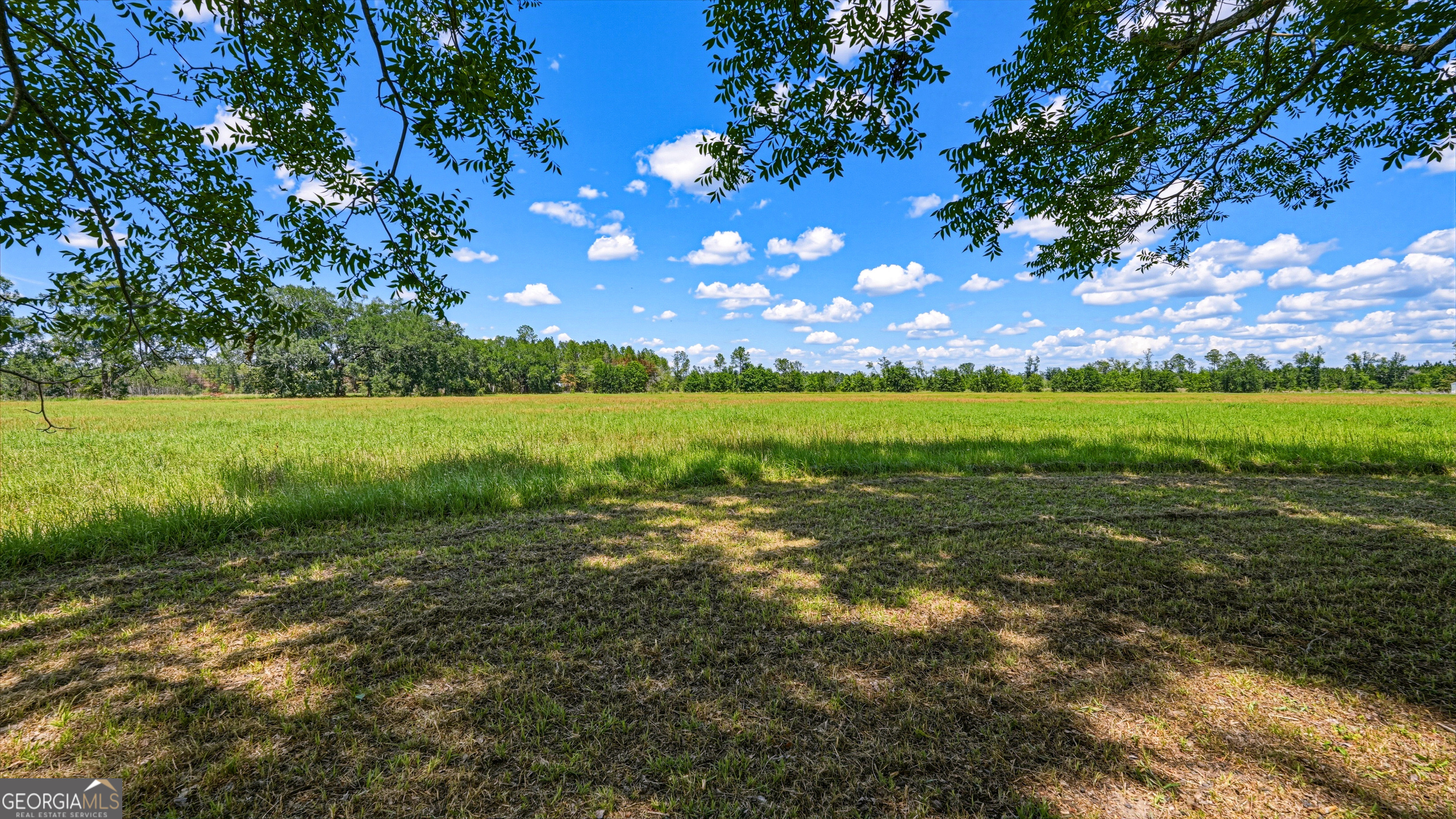 0 Ritch Church Road Screven, GA 31560 - Photo 41 of 43