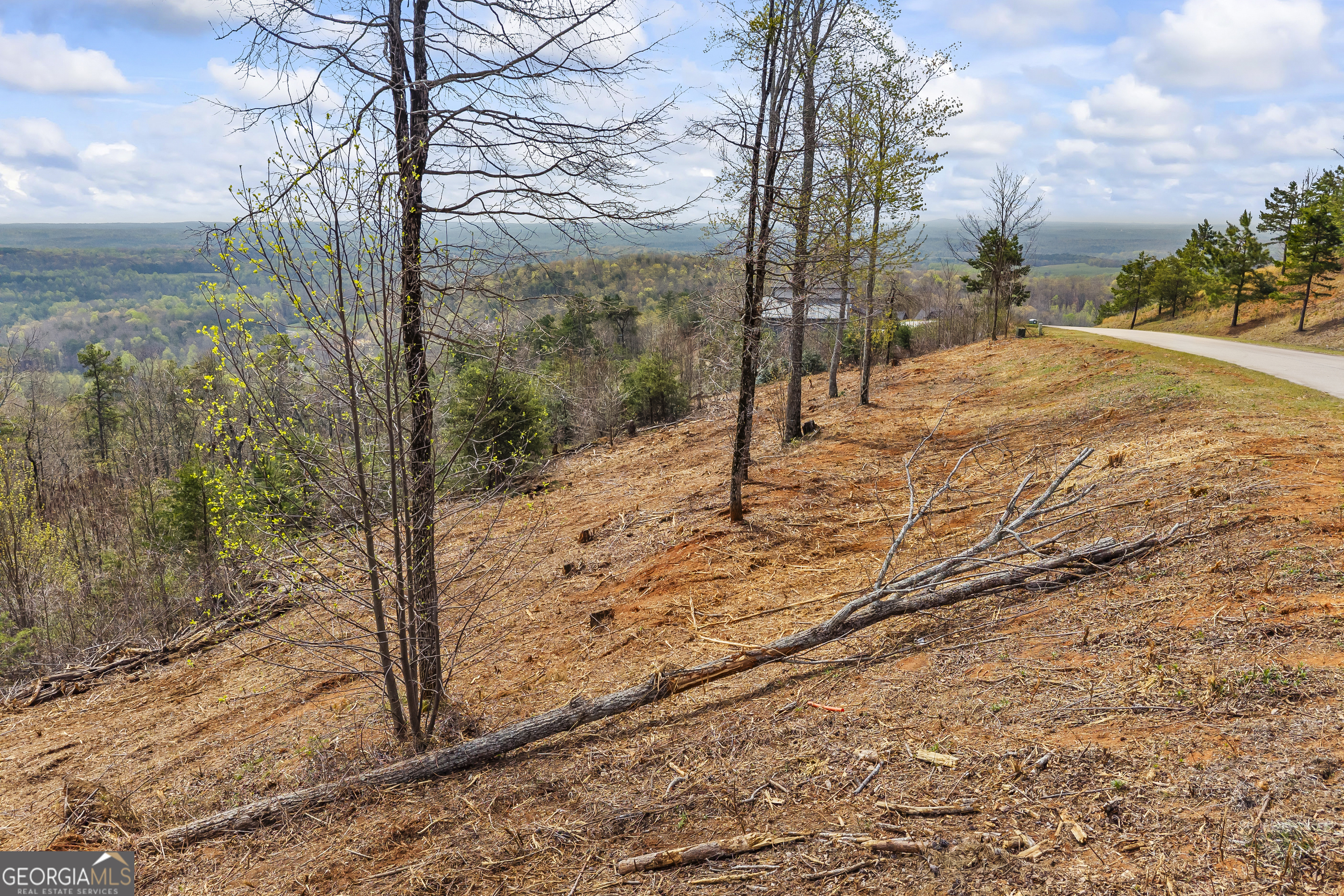 Lot 36 Mountain Ridge Drive Clarkesville, GA 30523 - Photo 27 of 53