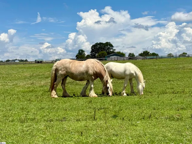 $975,000 | 150 Rabbit Moffitt Road, Rutherfordton, NC 28139