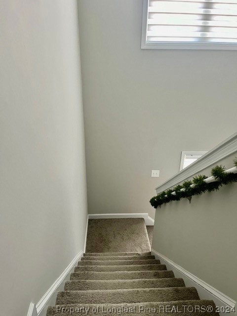 392 Buffalo Creek Road Raeford, NC 28376 - Photo 27 of 34 a view of entryway