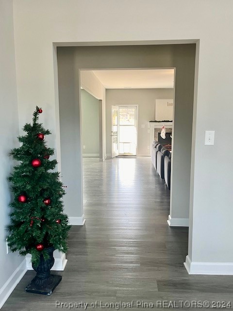 392 Buffalo Creek Road Raeford, NC 28376 - Photo 3 of 34 a view of a hallway with wooden floor
