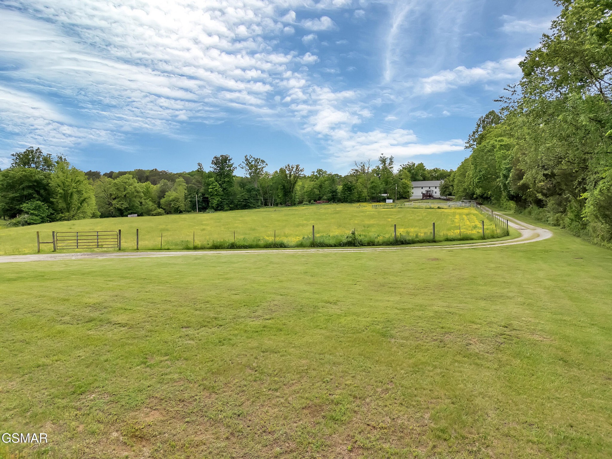 6525 Idumea Road Corryton, TN 37721 - Photo 51 of 64