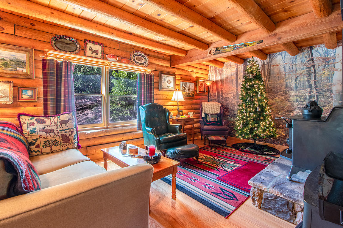 53174 Walters Drive Idyllwild, CA 92549 - Photo 25 of 55 a outdoor living space with furniture