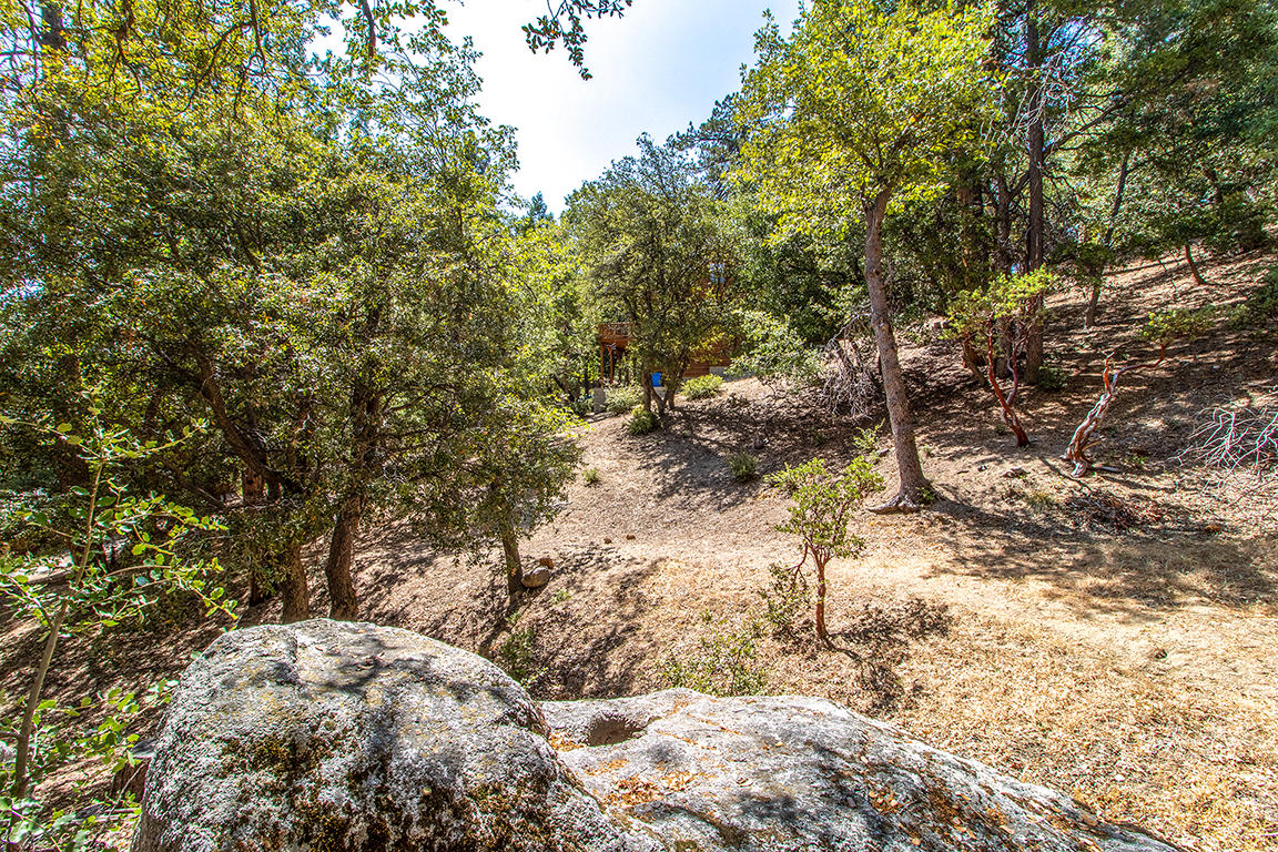 53174 Walters Drive Idyllwild, CA 92549 - Photo 54 of 55 a view of a yard with plants and trees