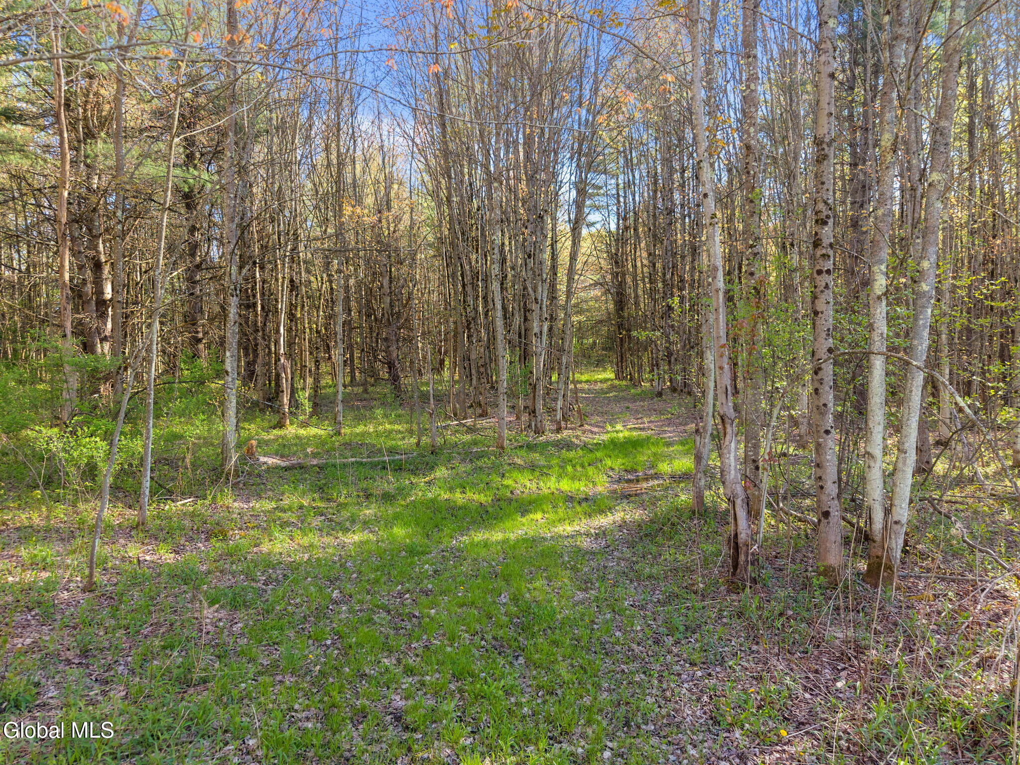 1054 Esperance Road Charleston, NY 12066 - Photo 39 of 42 39-1054EsperanceRd_39