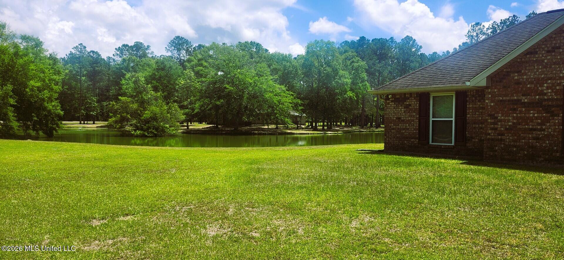 17 P M Hall Road Poplarville, MS 39470 - Photo 33 of 33 PM Hall Side and Pond