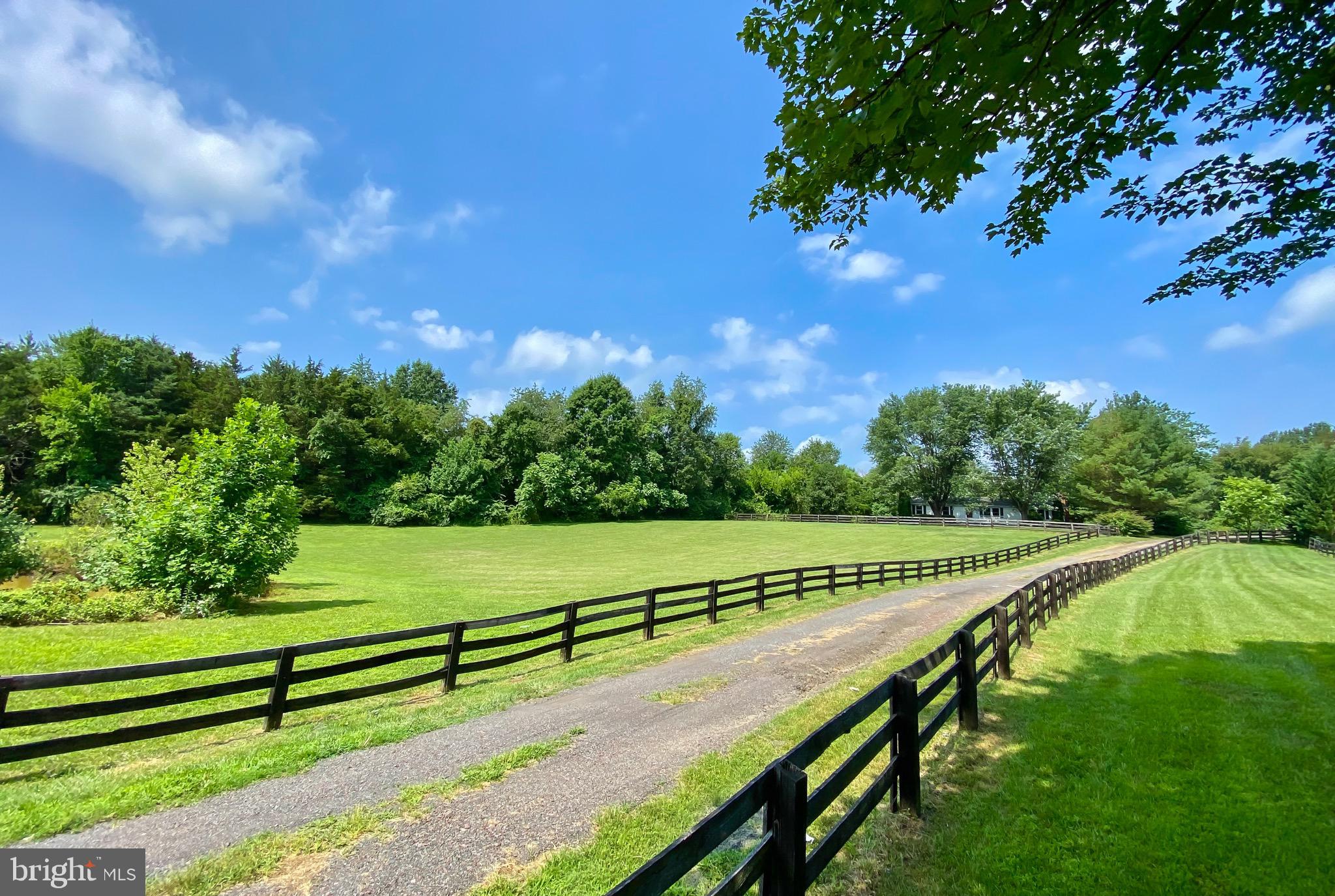 14142 Rixeyville Road Culpeper, VA 22701 - Photo 8 of 40 Gallery Image 8