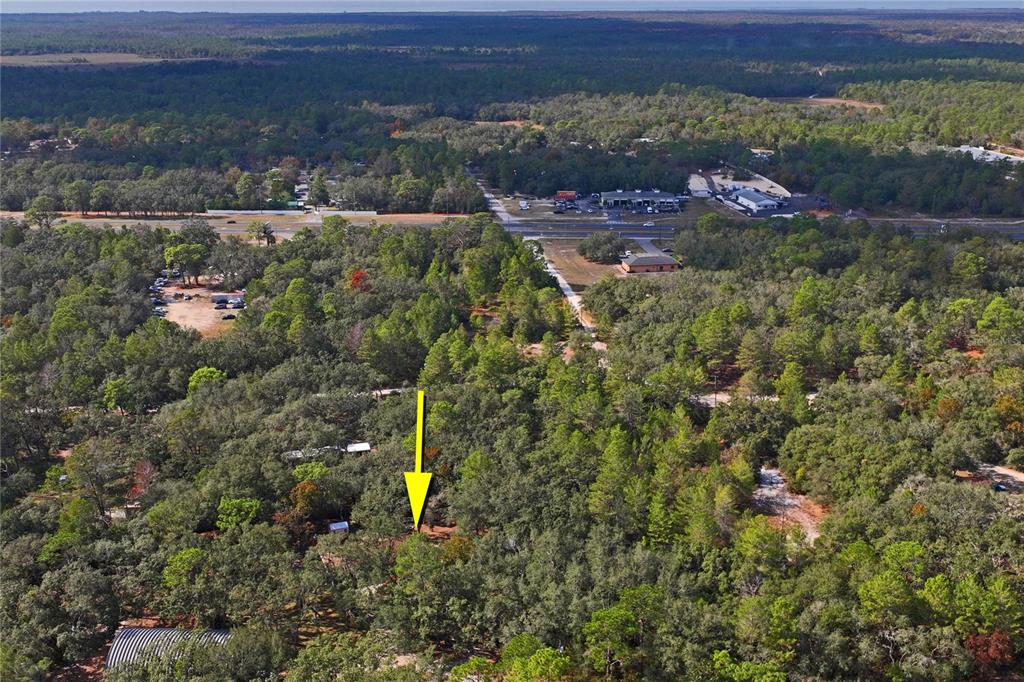 11185 Cleever Street Weeki Wachee, FL 34614 - Photo 59 of 61