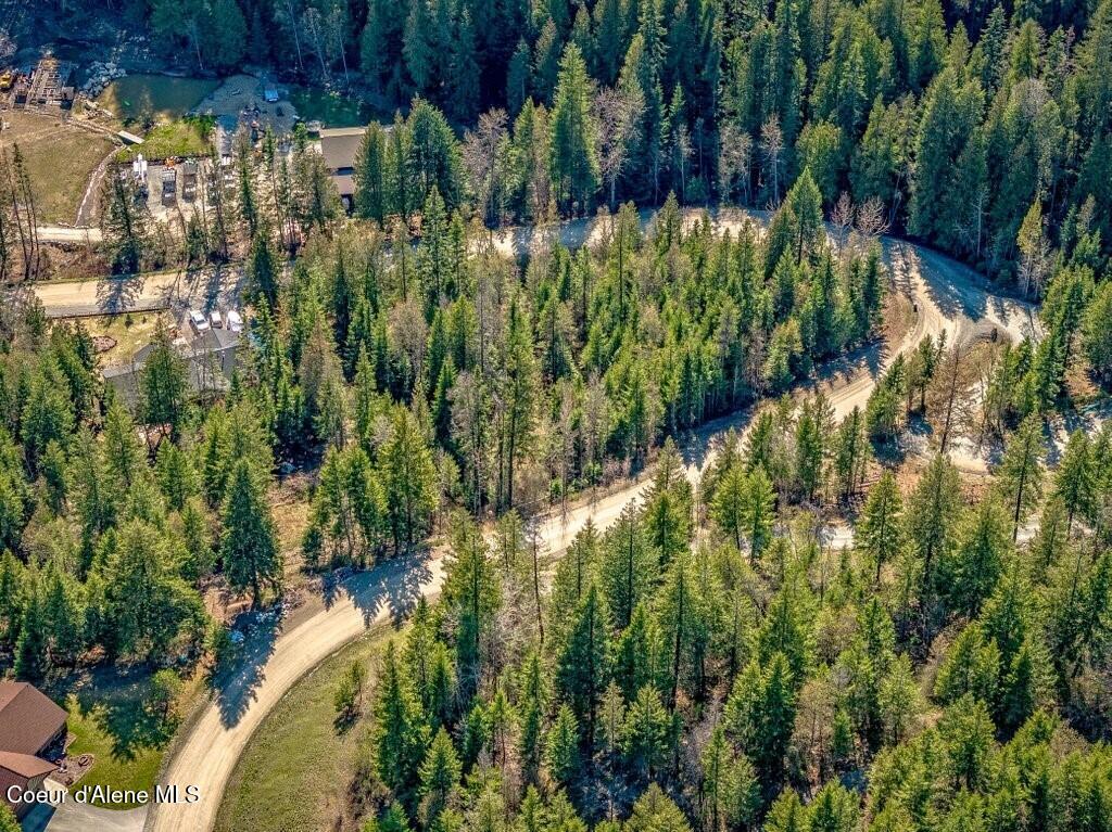 133 Olympic Way Sandpoint, ID 83864 - Photo 15 of 40 Gently Sloped Lot