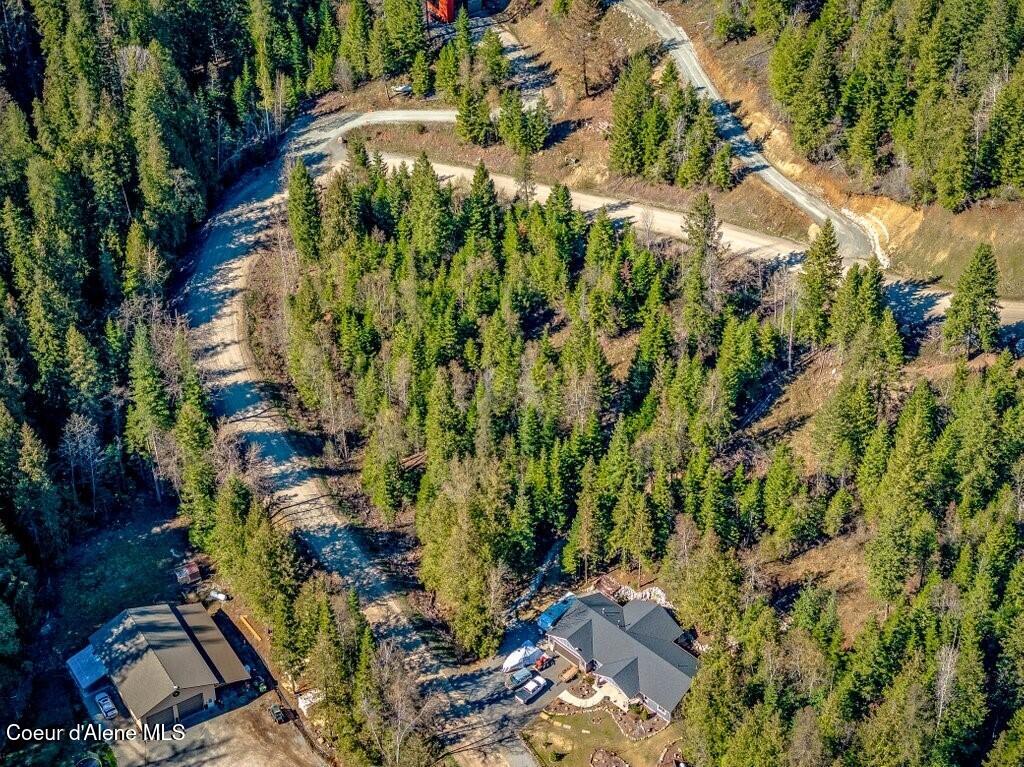 133 Olympic Way Sandpoint, ID 83864 - Photo 19 of 40 Treed for Privacy