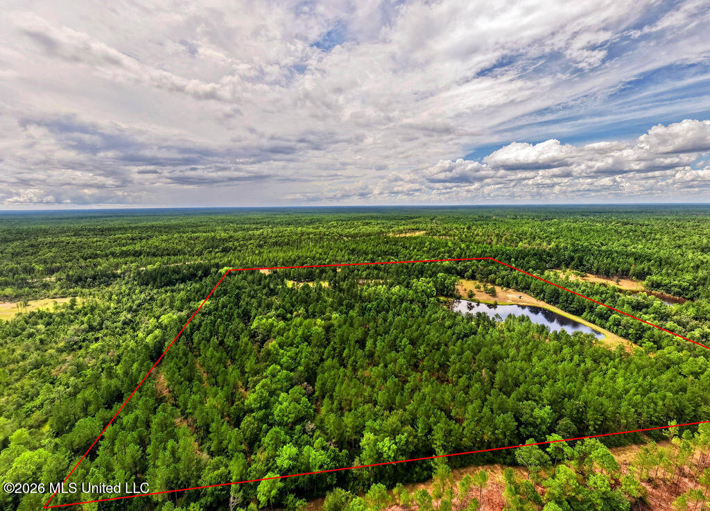 Wire Road Vancleave, MS 39565 - Photo 7 of 26 WireRdLand-4