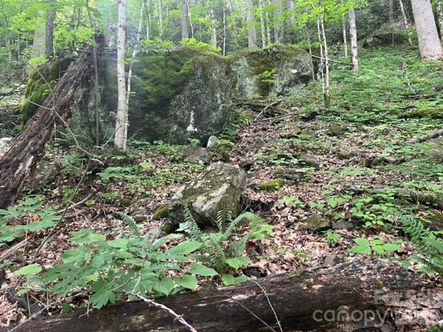 0 Soco Road Maggie Valley, NC 28751 - Photo 8 of 26
