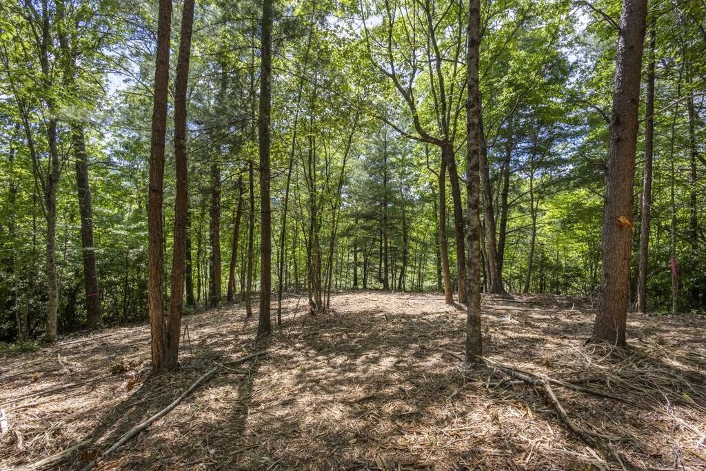 34 Donley Road Murphy, NC 28906 - Photo 19 of 37 Gallery Image 19