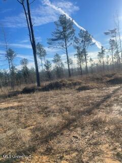 Newton County Martin Road Collinsville, MS 39325 - Photo 2 of 11 IMG_1914