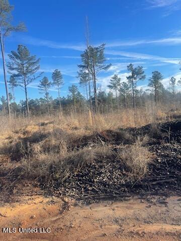Newton County Martin Road Collinsville, MS 39325 - Photo 5 of 11 IMG_1911