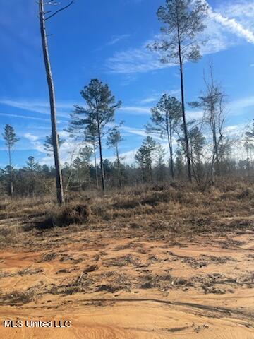 Newton County Martin Road Collinsville, MS 39325 - Photo 6 of 11 IMG_1913