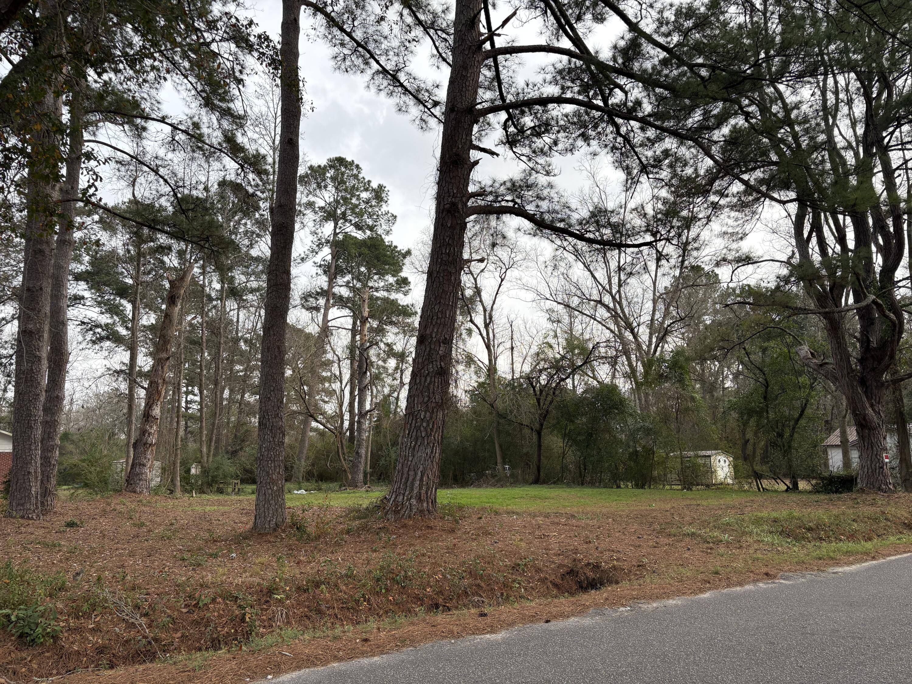 410 Poplar Street Walterboro, SC 29488 - Photo 2 of 11 4