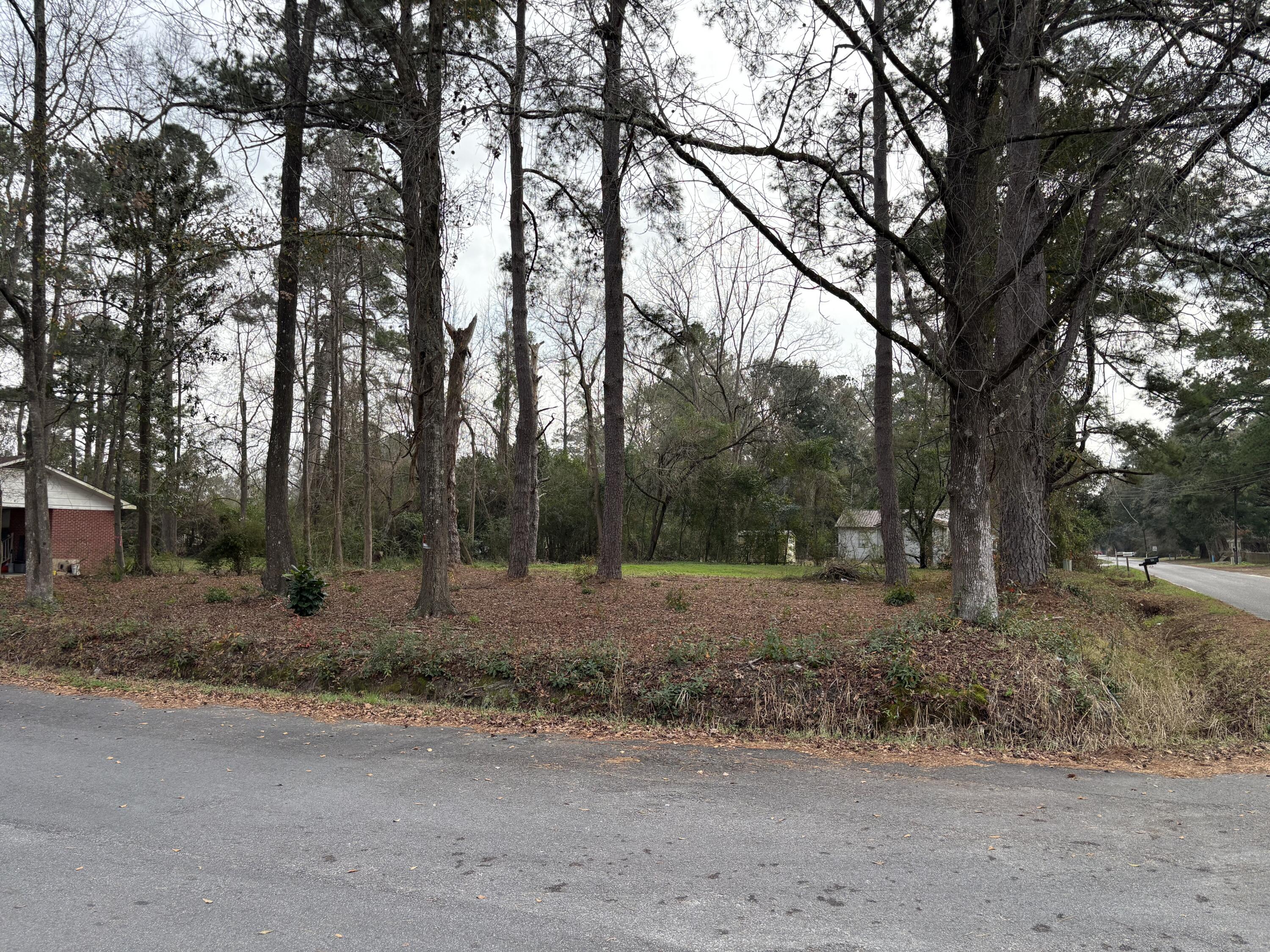 410 Poplar Street Walterboro, SC 29488 - Photo 3 of 11 10