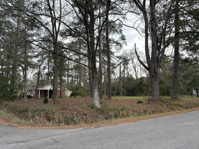 $42,000 | 410 Poplar Street, Walterboro, SC 29488