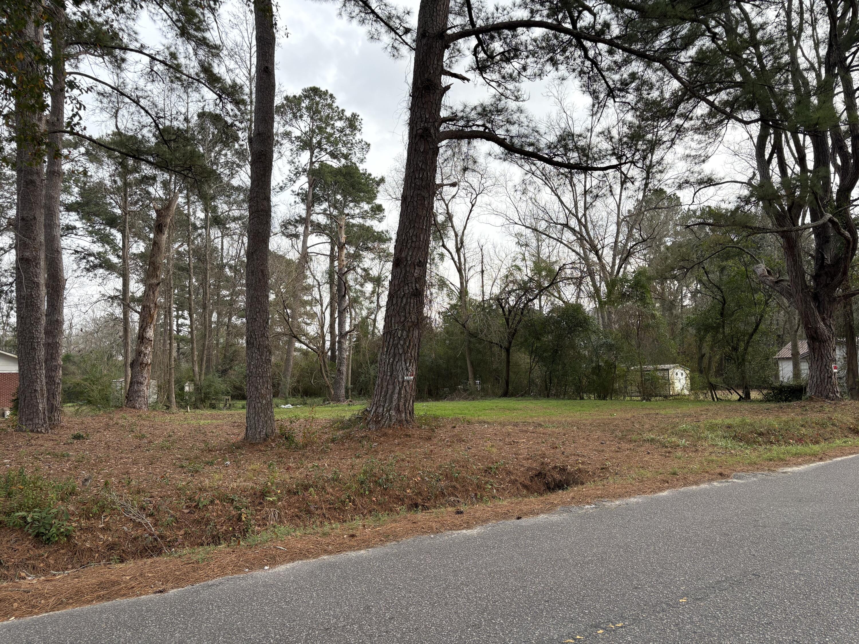 410 Poplar Street Walterboro, SC 29488 - Photo 7 of 11 6