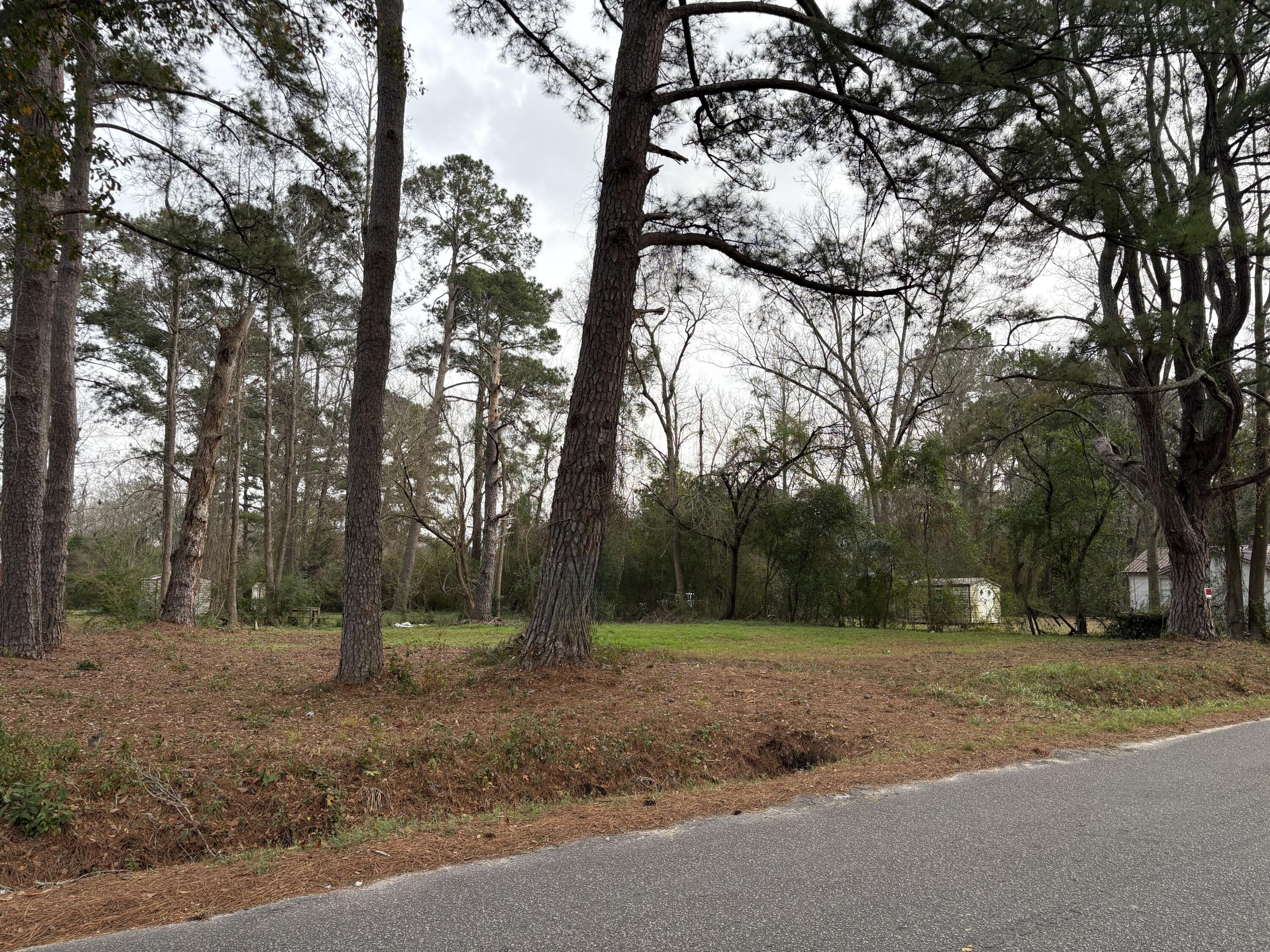 410 Poplar Street Walterboro, SC 29488 - Photo 8 of 11 3