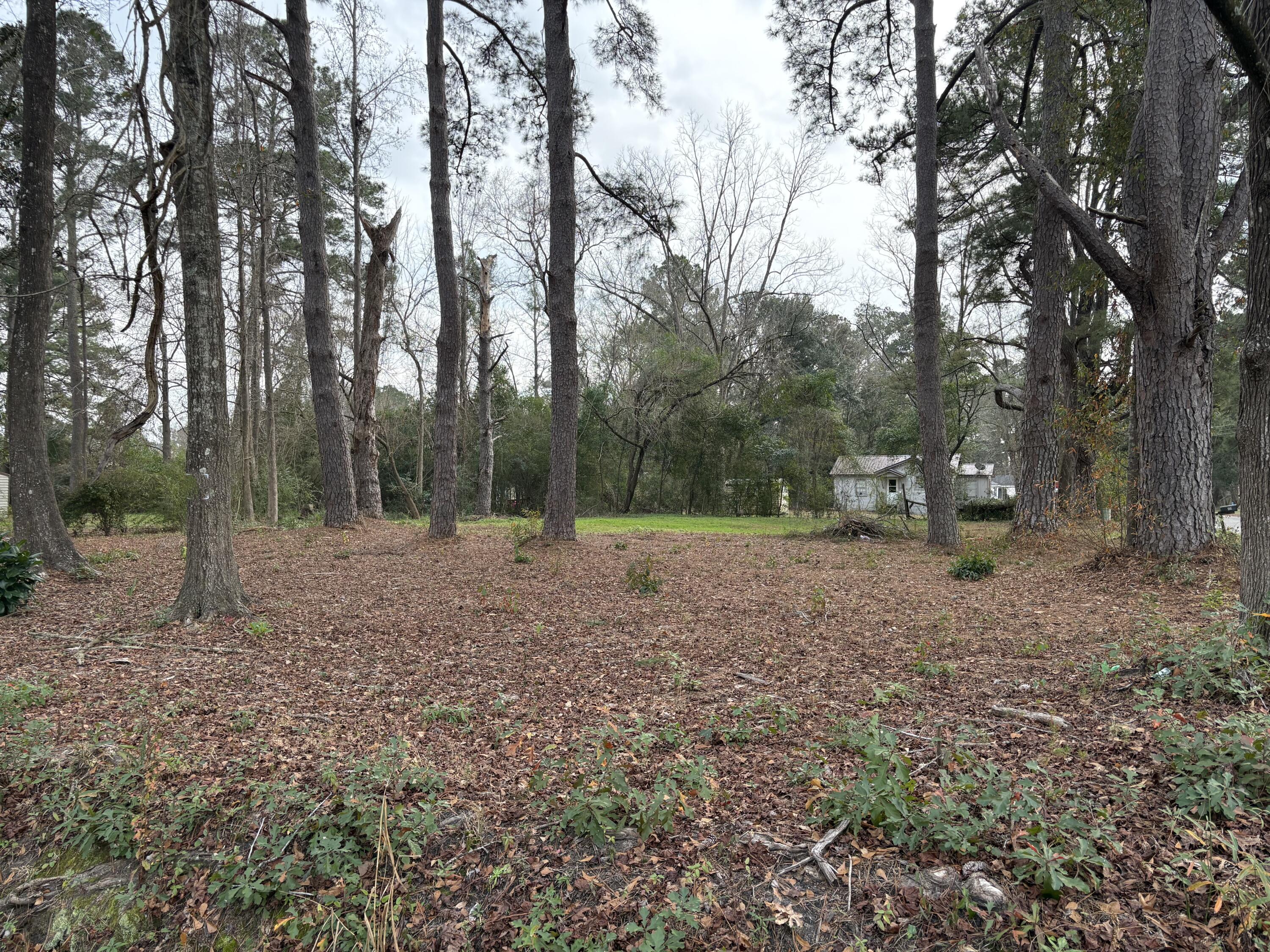 410 Poplar Street Walterboro, SC 29488 - Photo 9 of 11 9