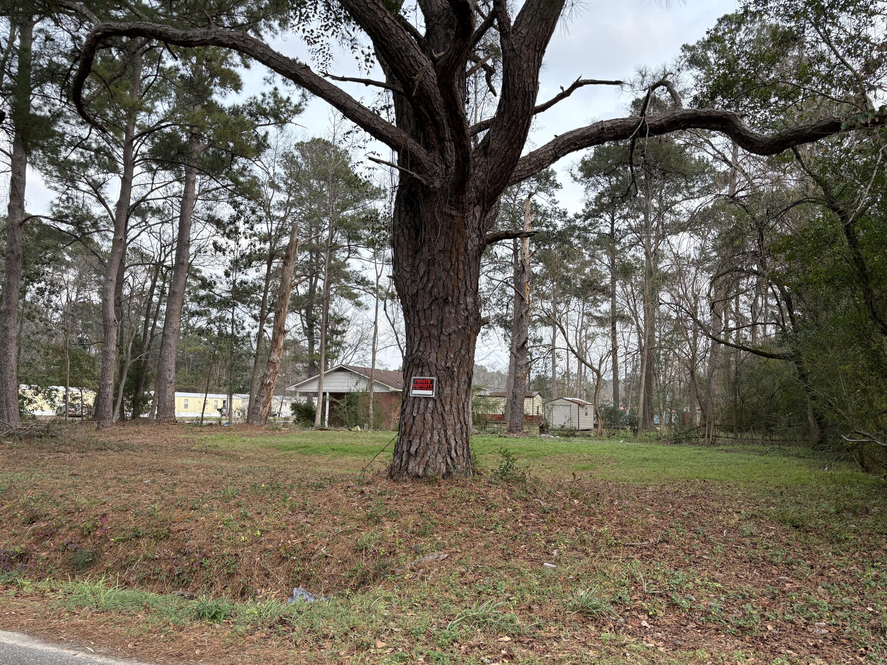 410 Poplar Street Walterboro, SC 29488 - Photo 10 of 11 1